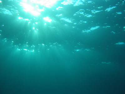 underwater01.jpg